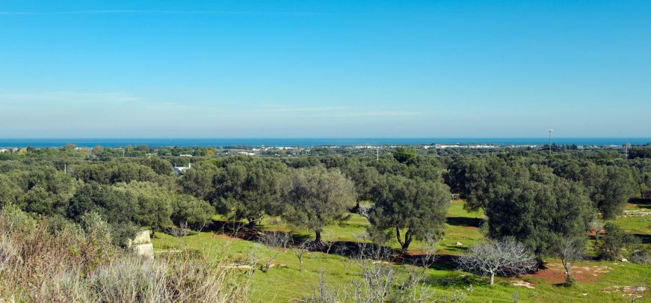 Villa Trullo Ramachandra Carovigno Exterior photo